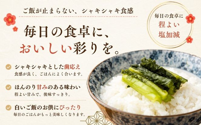 野沢菜漬 500g 3袋 合計 1.5kg《保存料・合成着色料不使用》  (Bl-007) 