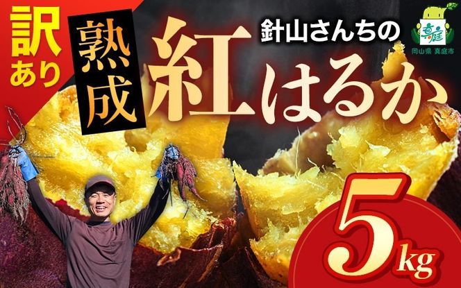 【訳あり】針山さんちのさつまいも 紅はるか 5kg / さつまいも 紅はるか 真庭 人気 【ybrf002-01】