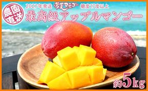 【2027年発送】最高級 常夏アップルマンゴー！糖度17度以上 約5kg農園から直送
