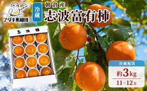 柿 志波 富有柿 冷蔵 約3kg 11～12玉 配送不可 離島 果物類 かき 