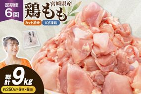 鶏肉 6回 定期便 もも 切身 IQF 250g 6袋 1.5kg 計9kg [南九フーズ 宮崎県 日向市 452061721] もも肉 冷凍 国産 カット 小分け ふるさと納税 鶏 とり肉 鳥肉 鶏もも 鶏もも肉 モモ 真空包装 個包装 お弁当 急速冷凍 バラ凍結 時短 カット済 定期 宮崎 宮崎県産 夕飯