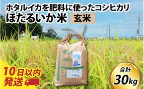 【訳あり】ほたるいか米（玄米30kg）【通年発送】