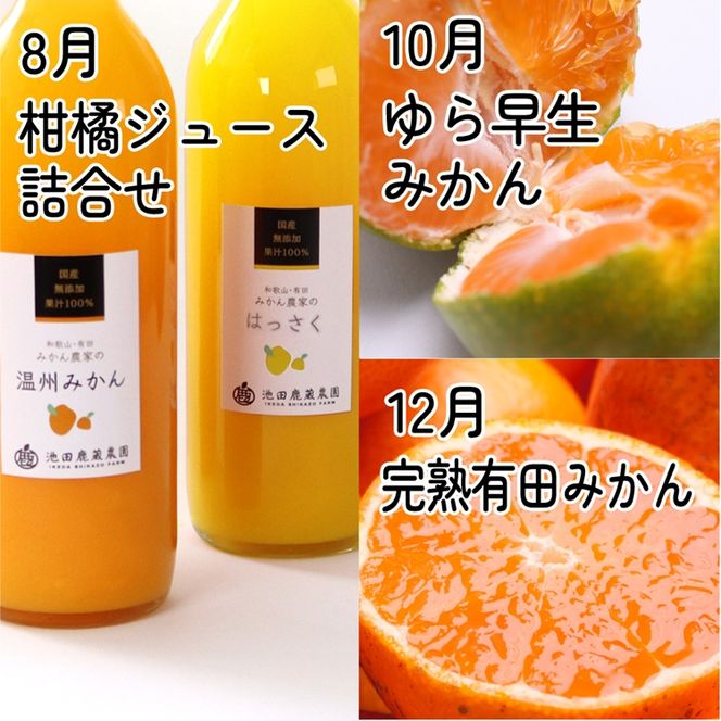 【定期便】家庭用 柑橘定期便 M 6回（偶数月）※北海道・沖縄・離島への配送不可※偶数月に発送