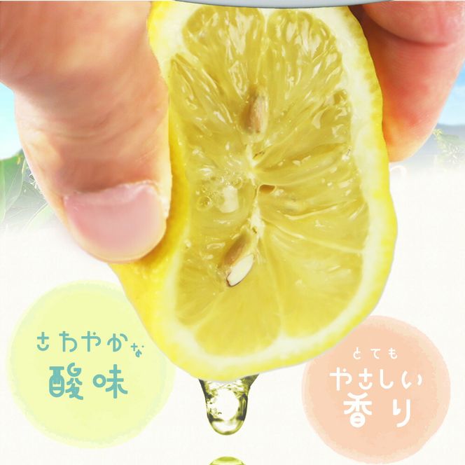 G7069_【2027年先行予約】【ご家庭用 訳あり】紀州有田産レモン 2.5kg