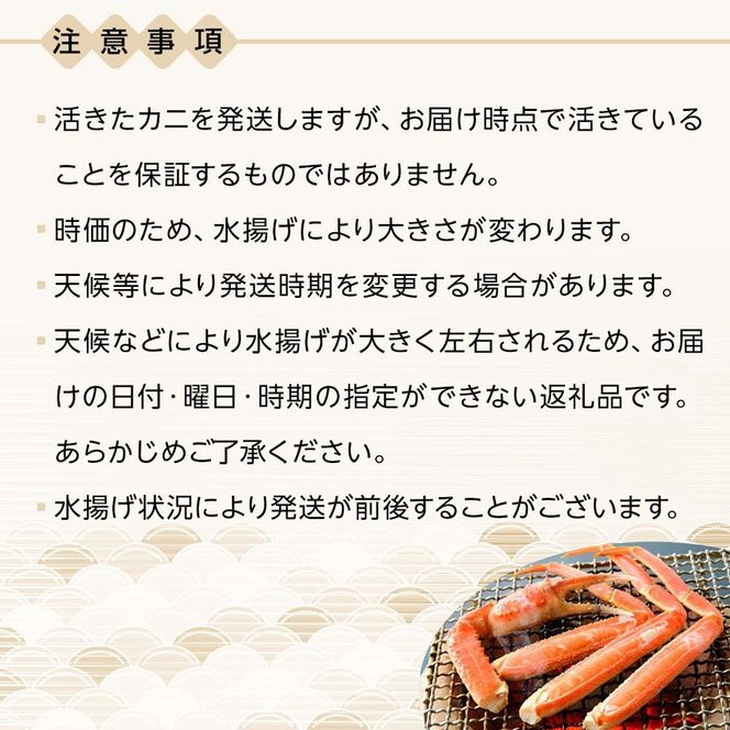 1049.【2025年12月～2026年1月発送】特撰 松葉がに（なま）【訳あり】800g超の大きいサイズ 食べ応えあり 特大3杯 313726_BS027