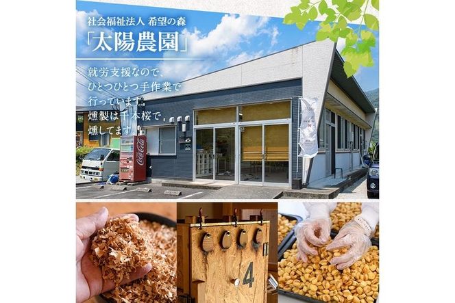 ＜定期便・全6回 (毎月)＞訳あり・おまかせ 千本桜 で燻した 燻製 ナッツ 詰め合わせ (計60袋) 定期便 セット 透明真空パック ミックスナッツ ピーナッツ 加工品 おやつ 常温 保存 防災 【FD09】【希望の森 太陽農園】