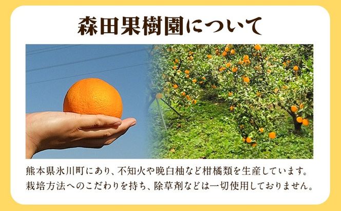 森田果樹園の不知火 10kg 20～32個程度　《2027年2月中旬-4月下旬頃出荷》森田果樹園 果物 フルーツ 柑橘 熊本---hkw_mtk_8_10kg---