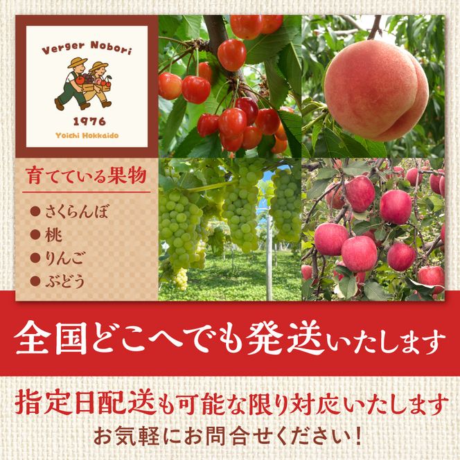 【2026年産 先行予約】＜北海道余市産＞さくらんぼ「紅てまり」（M～2Lサイズバラ詰め）500ｇ×2パック_Y103-0057