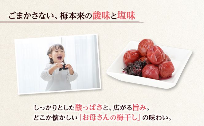 大河原産 昔ながらのすっぱいしそ梅干し 270g 10個セット ご飯のお供に 梅干し 梅干 うめぼし ウメボシ 梅 ごはんのお供 ご飯のお供 おにぎり 弁当 お弁当