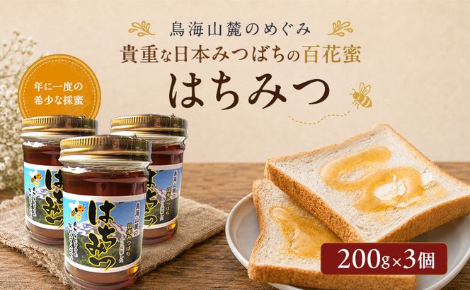 日本みつばちのはちみつ 百花蜜 3個セット 200g×3個 ( 蜂蜜 国産 ) はちみつ ハチミツ 秋田県 にかほ