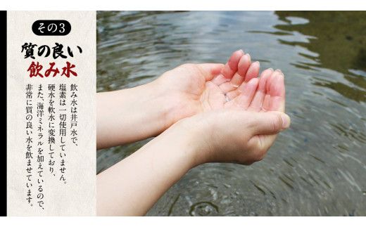 【3ヵ月 連続 定期便】王様の卵 ヨード入 20個 (15個+割れ保障5個 ) 計60個 平飼い 地鶏 有精卵 濃厚 卵 こだわり卵 たまご 頒布会 定期 [AU005us]