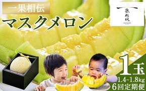 メロン 定期便 【６回定期便】 一果相伝マスクメロン 1玉入り - めろん 青肉 果物 くだもの フルーツ 贈答用 贈答品 贈り物 ギフト お礼 御礼 感謝 お祝い 御祝い 産地直送 新鮮 篤農 高知県 香南市 常温 Wtn-0041