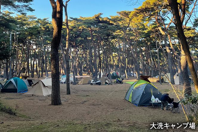 大洗 キャンプ場 クーポン券 6000円分（1000円×6枚） 大洗サンビーチキャンプ場 大洗キャンプ場 サンセット松川キャンプ場 チケット 利用券 アウトドア 旅行
