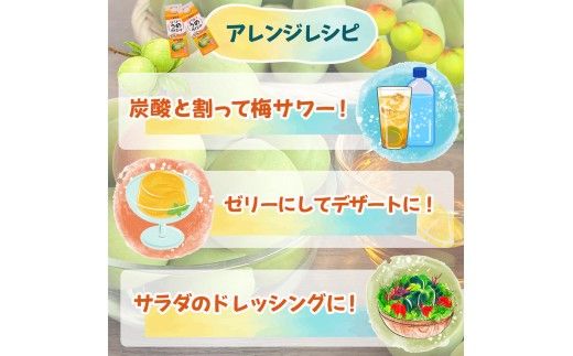 はちみつうめダイエット濃縮タイプ 500ml×12本 タマノイ酢 さっぱり梅風味 はちみつ入り 飲用アレンジや料理にも 日本製 お酢 | 梅酢ドリンク 濃縮 はちみつ梅ドリンク 梅ジュース 濃縮タイプ 梅シロップ 飲料用 梅ドリンク まとめ買い 健康管理 美容に嬉しいプロアントシアニジン（ポリフェノール）