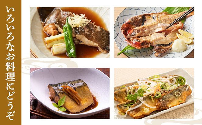 超ひものセット【惣菜 魚 干物 ひもの お取り寄せ 御中元 お中元 お歳暮 父の日 母の日 贈り物 家庭用 自宅用 贈答品 贈答用 ギフト 定番 朝食 朝ごはん あじ いぼ鯛 かます かれい ホッケ いか 金目鯛 さば 神奈川県 小田原市 】 142069_AC002