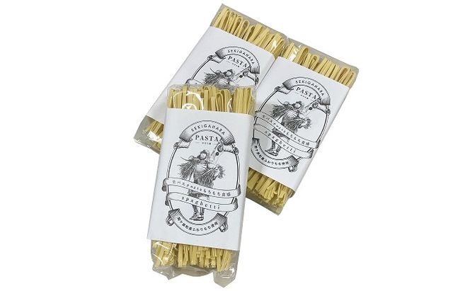 関ケ原町産ふわりもち使用 関ケ原パスタ（平打ち麺）計900g（300g×3袋 約9人前）
