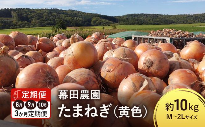 【2026年先行受付】［3か月定期便］富良野産 黄色 玉ねぎ 約10kg（約30～40玉） M～2Lサイズ　野菜 新鮮 直送 黄玉ねぎ 玉葱 玉ネギ 道産 北海道 富良野市 ふらの 幕田農園