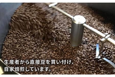 【年内発送】中煎りコーヒー豆250g×2袋 (豆・粉選べます) エルポルベニール農園パカマラ種ナチュラル糸島市 / COFFEE UNIDOS [AQF004] 珈琲 カフェ コーヒー粉