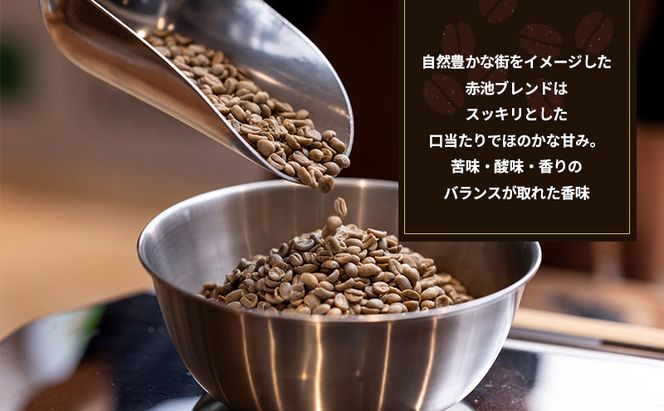 定期便6回【YANAKA COFFEE】赤池ブレンド500ｇコーヒー豆（粉-中挽き） 珈琲 コーヒー 粉 自家焙煎 オリジナルブレンド ブラジル コロンビア エチオピア プライムツリー 赤池 限定 日進市