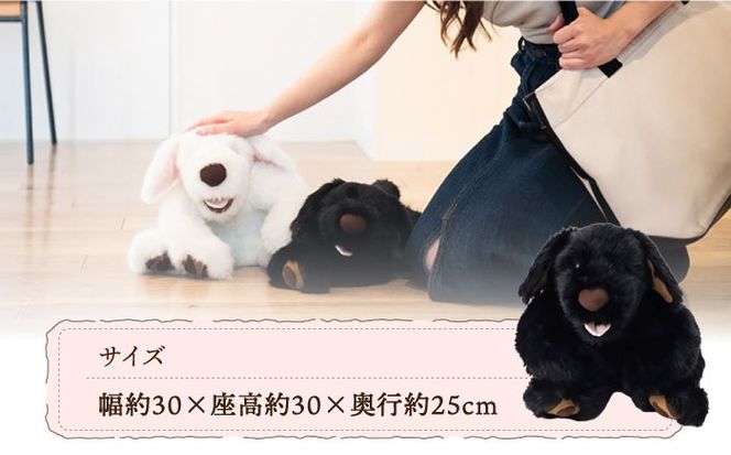 犬型セラピー？！ロボット？パトランの黒（通称：クロラン） 犬 ぬいぐるみ 糸島市 / 科学工房未來 [AYI002]