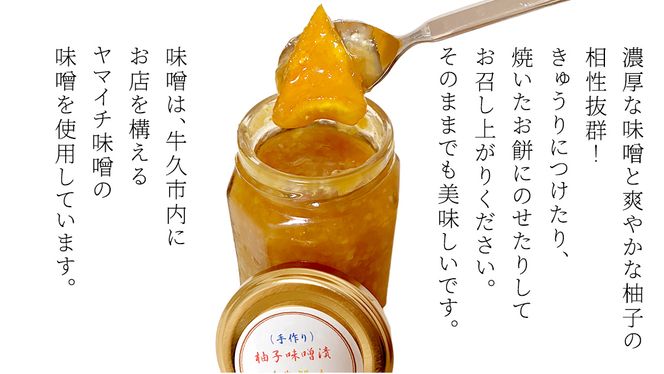柚子 味噌漬け 3個セット ゆず 味噌付 味噌 みそ 調味料 つまみ ふるさと納税