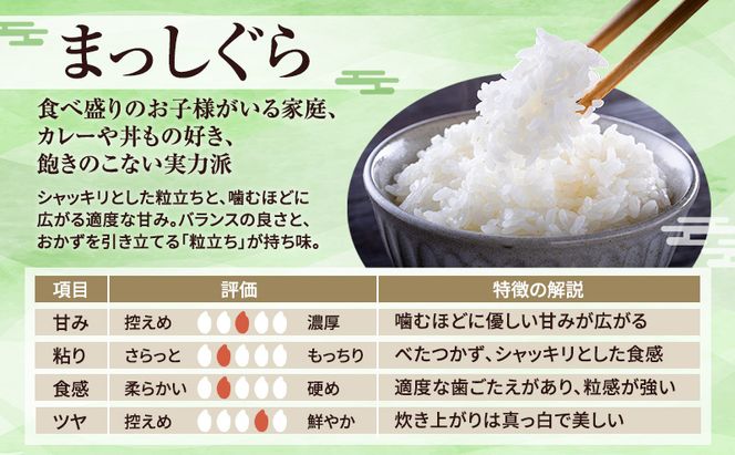先行予約 令和8年産 まっしぐら 白米 10kg(5kg×2) [H.GREENWORK] 青森県 鰺ヶ沢産 / お米 精米 こめ おこめ ごはん 津軽
