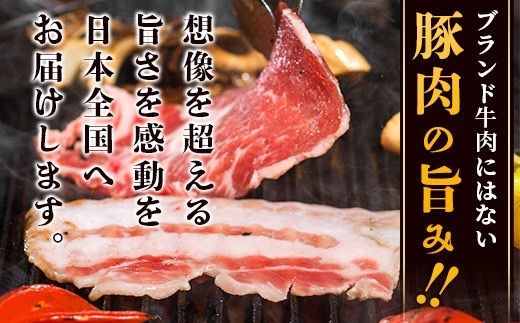 アグー豚(F1種) 南ぬ豚 焼肉用ロース200g+バラ200g【 南ぬ豚　アグー豚　焼肉　食べ比べ　豚肉　石垣　石垣島　沖縄　八重山 】E-35