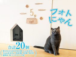 フォトにゃん FAA-208