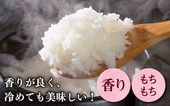 【令和6年産】果物屋さんが選んだ米 夢つくし 5kg 《築上町》【南国フルーツ株式会社】 米 白米 お米 ブランド米[ABET008]