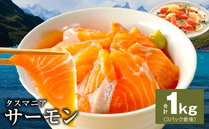 kgp0054 タスマニアサーモン 1kg[アトランティクサーモン 真空パック 小分け ブロック 訳あり サイズ不揃い 上質 刺身 海鮮丼 サラダ 冷凍 物価高応援]