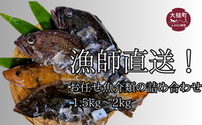 漁師直送！お任せ魚介類の詰め合わせ 1.5kg～2kg 【オリジナルクリアファイル付き】【期間限定1月～3月発送】【0tsuchi01412】