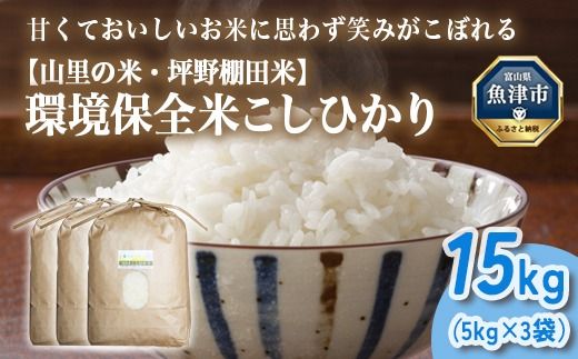 山の湧き水 寒暖差 山里 山里の米･坪野米 R8年産 環境保全米こしひかり 15kg　※北海道・沖縄・離島への配送不可 ※2026年10月～発送