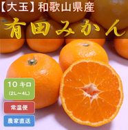 [大玉]和歌山県産 有田みかん10kg（2L～4Lサイズおまかせ）ひとつひとつ手選別で厳選！生産者から直送