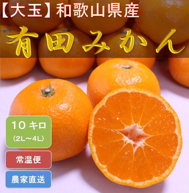 [大玉]和歌山県産 有田みかん10kg（2L～4Lサイズおまかせ）ひとつひとつ手選別で厳選！生産者から直送
