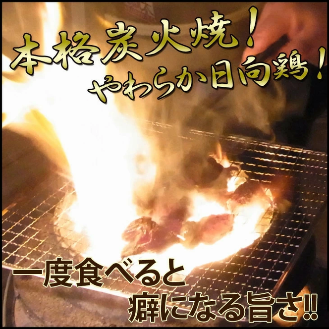 日向鶏炭火焼き1.2kg　N066-YZB810