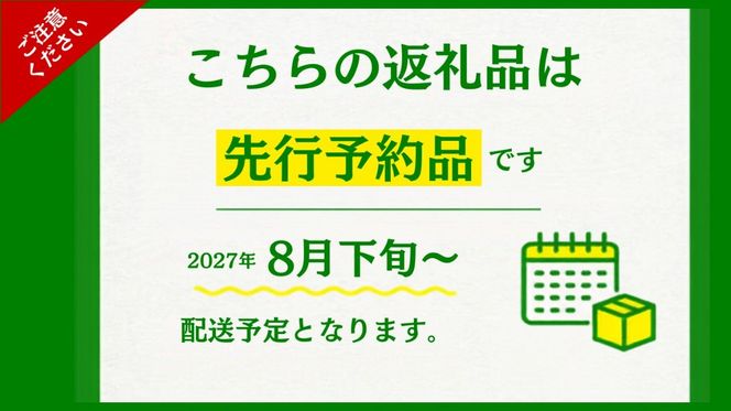 【ふるプレ限定品】【2027年先行予約】シャインマスカット 2~3房　（約1.5kg）