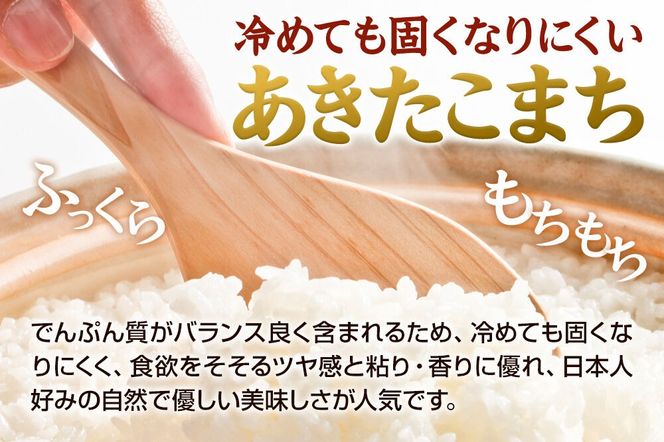 ＜令和7年産＞あきたこまち 白米 10kg（5kg×2袋）秋田県 男鹿市 鈴木農産 [あきたこまち ブランド米 お米 白米 精米 米どころ 秋田 秋田県産]|23_szn-011001