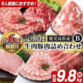 ＜定期便・全6回(偶数月)＞6人家族用！鹿児島県産 牛肉・豚肉 詰め合わせ B (総量9.8kg) 国産 黒豚 しゃぶしゃぶ 肩 ロース スライス 訳あり 切り落とし 黒毛和牛 サーロイン ステーキ 黒豚 バラ カタ ウデ 小分け セット 【スターゼン】akn042-38