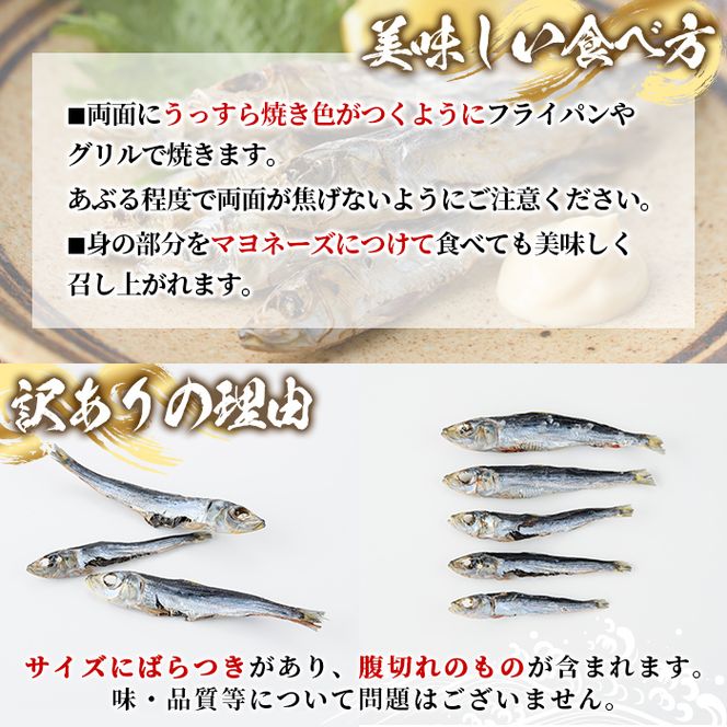 訳あり！真イワシ丸干し＜めざし＞(合計160尾以上・500g×2袋) 国産 鹿児島県産 阿久根市産 魚 魚介 水産 訳あり 訳アリ いわし 鰯 めざし マイワシ まいわし 真いわし 丸干し 丸干 チャック付き袋 【鈴木海産】akn091-02