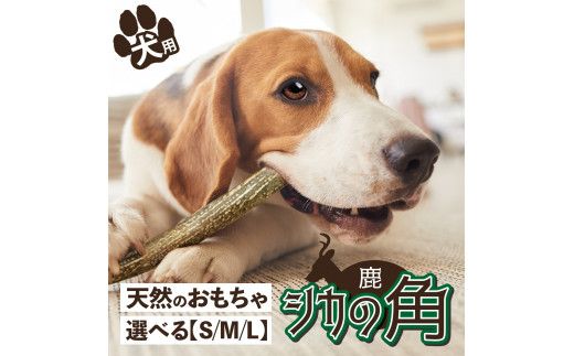 犬が喜ぶおやつ♪ 鹿角 1本 選べるサイズ（S・M・L）【犬 犬のおやつ ペット おもちゃ シカ ツノ 鹿の角 しか つの 鹿 角】