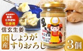 信玄生姜　おろし生姜　CE-3
