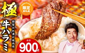 mrz0422 【ふるプレ限定品】牛肉 ハラミ 900g 小分け 300g×3P【スピード発送 氷温熟成×特製ダレ 味付き 牛肉 訳あり 不揃い 焼肉 BBQ 野菜炒め】