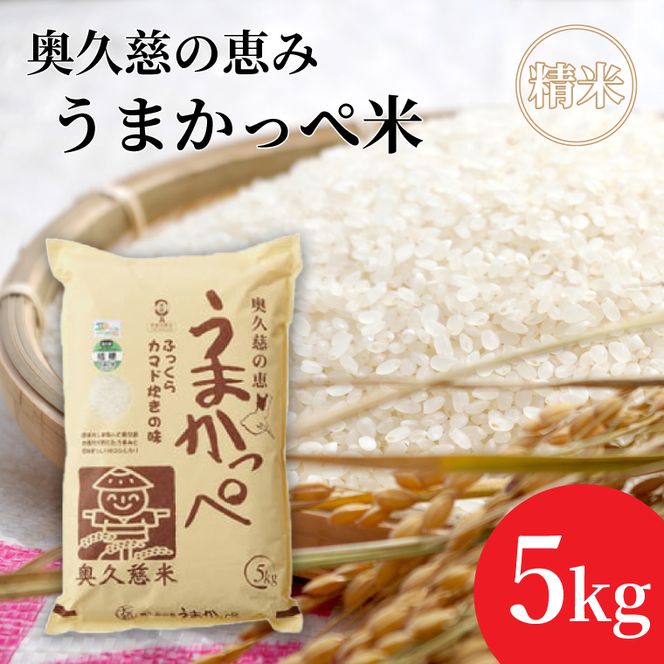 令和7年産奥久慈の恵みうまかっぺ米（コシヒカリ） 5kg｜茨城県 大子町 お米 白米 精米 ブランド米 銘柄米 食味値 ふっくら もちもち（AH002-2）