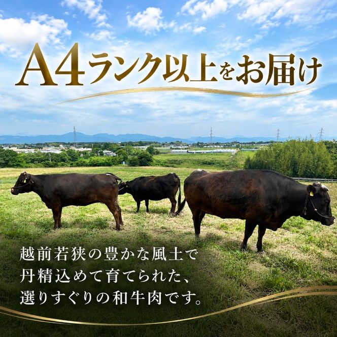 若狭牛バラ切り落し 350g（A4ランク以上） お肉 牛肉 黒毛和牛 和牛