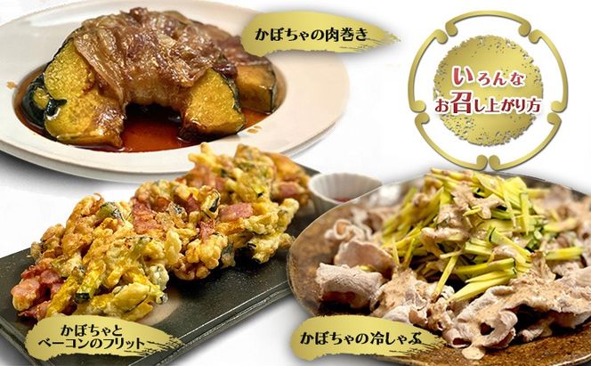 【数量限定】備前黒皮かぼちゃ 秀品 10kg (5～7玉) 株式会社大町 岡山県 瀬戸内市 かぼちゃ 野菜 スイーツ 手軽 料理 [№5735-2075]