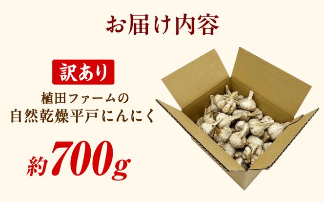 訳あり 植田ファームの自然乾燥平戸にんにく700g 〈2026年6月10日～2026年10月31日〉700グラム ニンニク ガーリック お酒 料理 醤油漬け ガーリックオイル ペペロンチーノ パスタ スパゲッティ 高知県 土佐市【株式会社植田ファーム】[BQAT005]