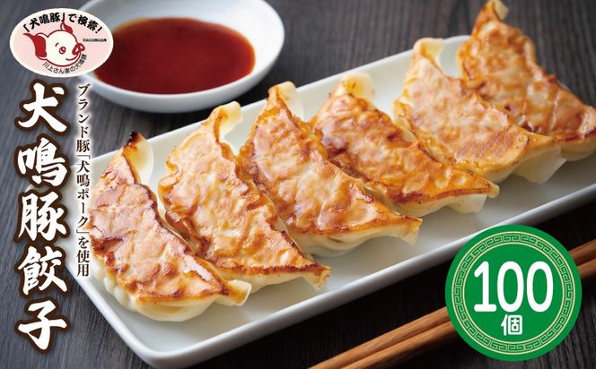 099H4477 【泉佐野ブランド豚】犬鳴豚餃子 100個【国産 豚肉 ぶたにく 犬鳴ポーク 焼くだけ 人気 総菜 冷凍】