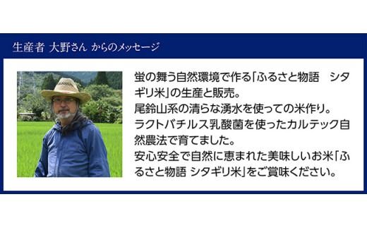 【3ヶ月定期便】【令和7年産】宮崎県産こしひかり「シタギリ米」5kg 【 お米 新米 定期便 全3回 】☆[C04201t3]