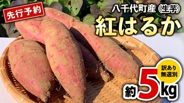 訳あり さつまいも 紅はるか 約 5kg 土付き 無選別 茨城 八千代町産 生芋 サツマイモ さつま芋 焼き芋 やきいも 芋 イモ 野菜 不揃い 規格外 長期熟成 おやつ デザート 秋 旬 農家直送 5000円 【 先行予約 2024年10月下旬以降発送 】 [AX046ya]