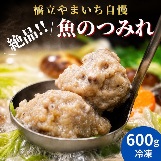 橋立やまいち自慢の魚のつみれ 2パックセット（冷凍）600g つみれ 魚 鍋 京都府 宮津市 myz02 myz11 myz17